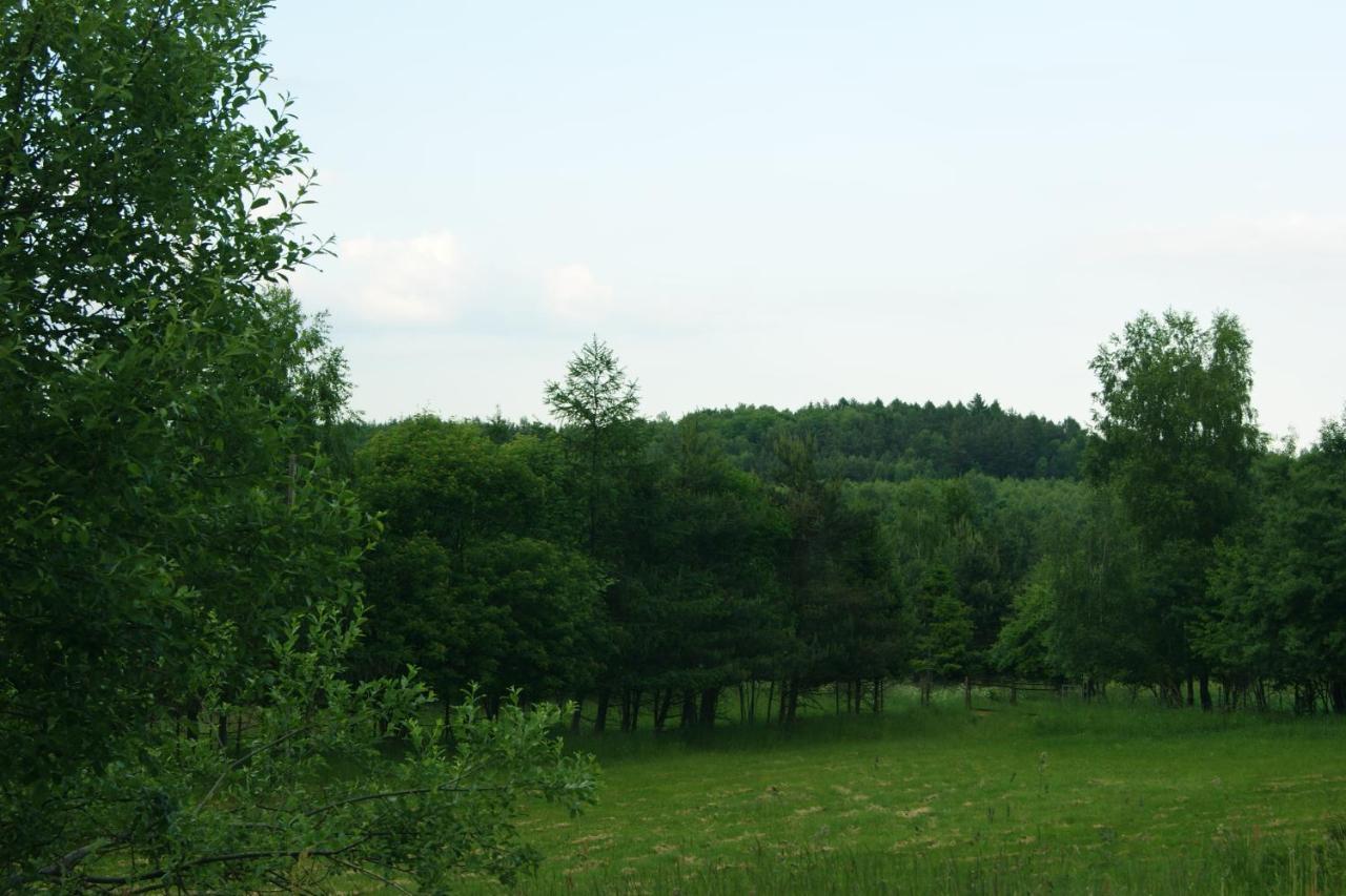 Villa Siedlisko Blotnia Mierzeszyn Esterno foto