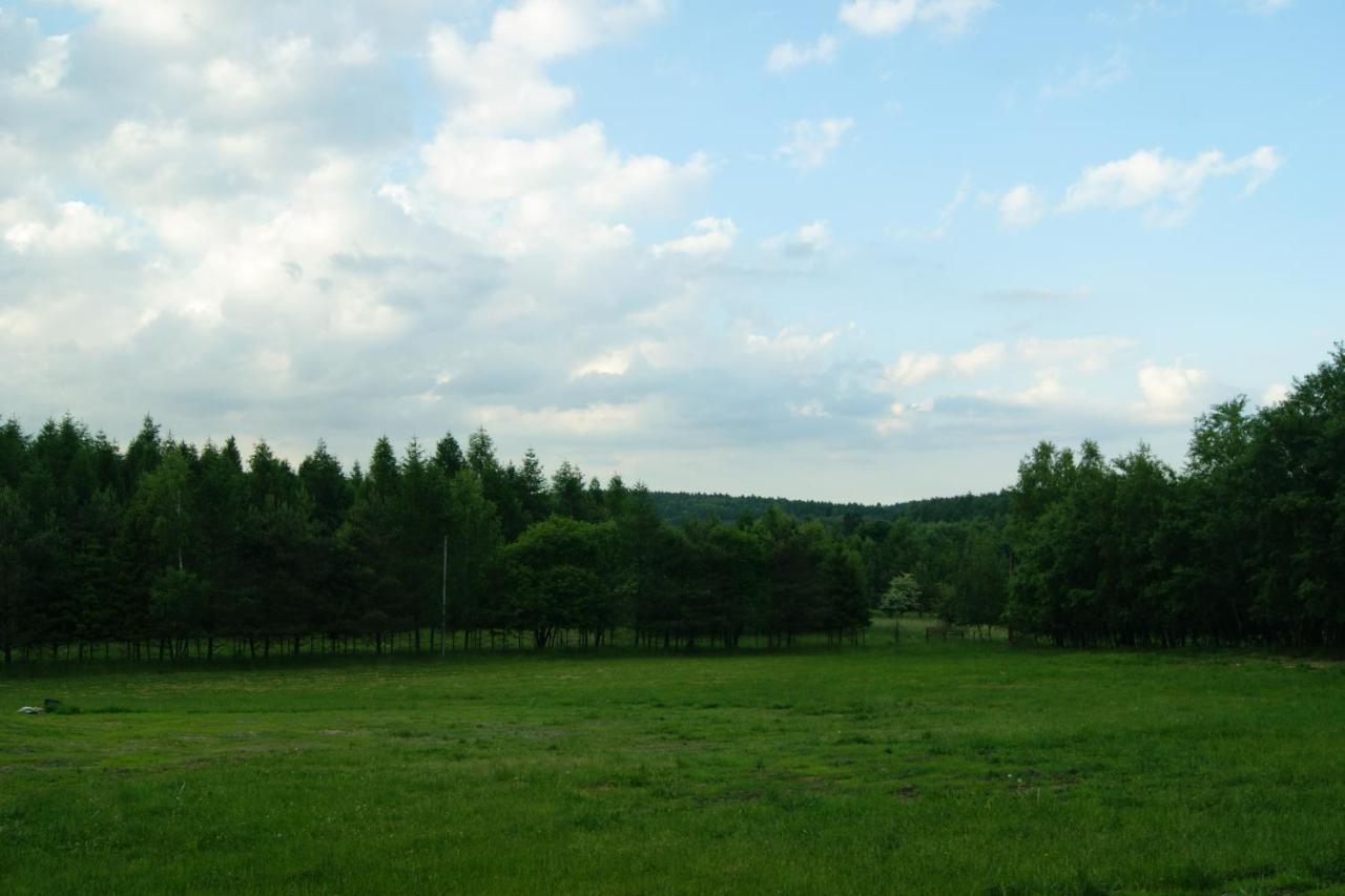 Villa Siedlisko Blotnia Mierzeszyn Esterno foto