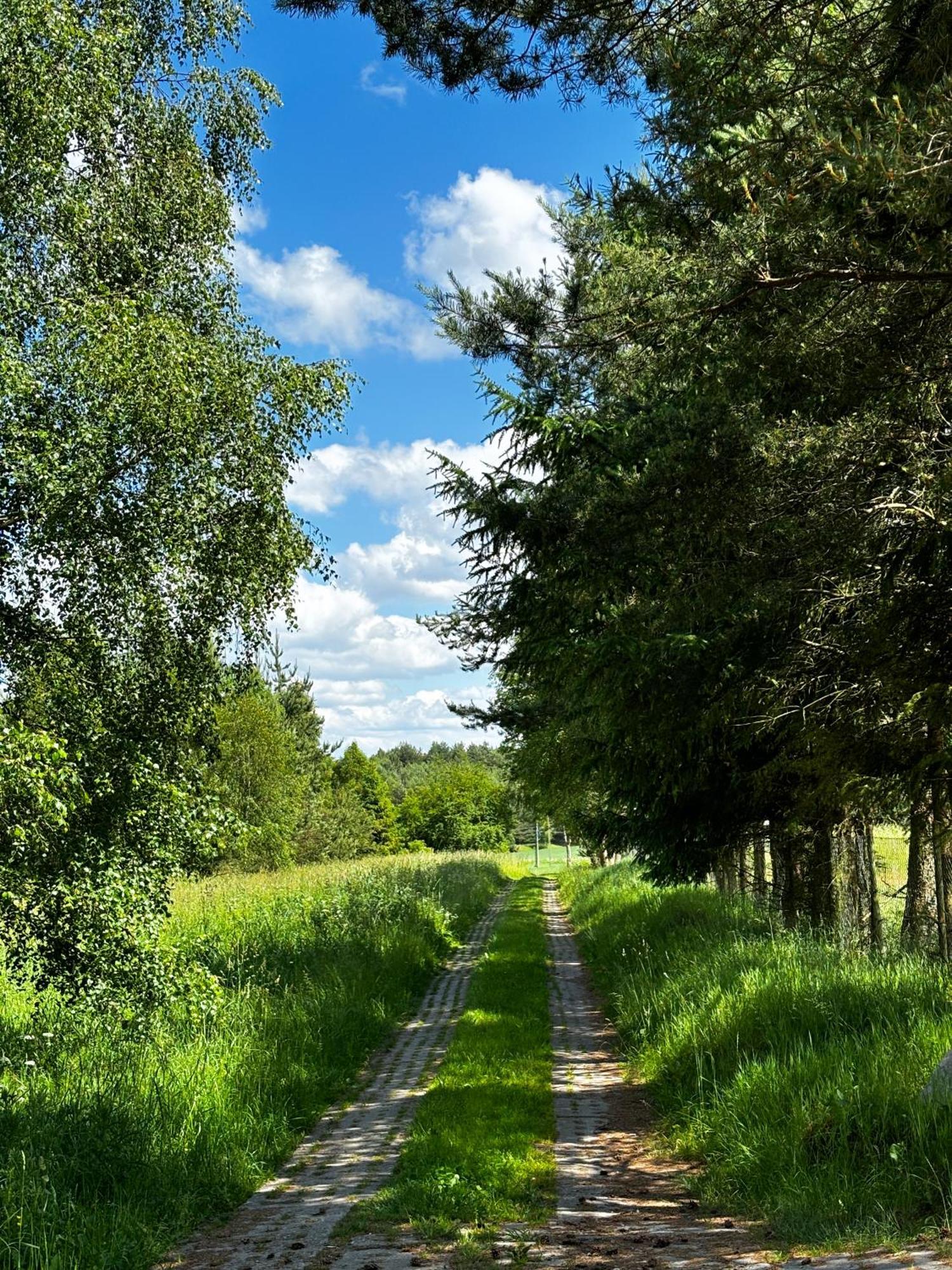 Villa Siedlisko Blotnia Mierzeszyn Esterno foto
